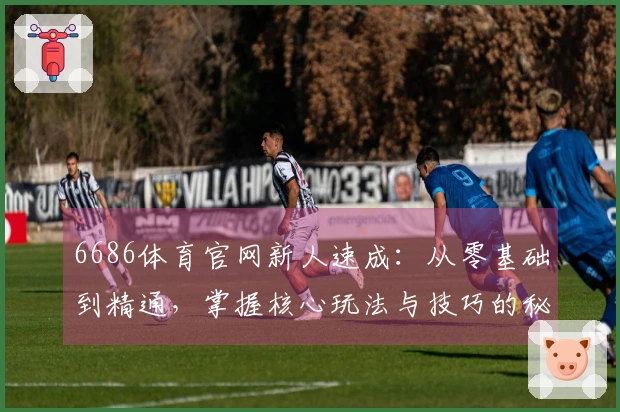 6686体育官网新人速成：从零基础到精通，掌握核心玩法与技巧的秘密通道