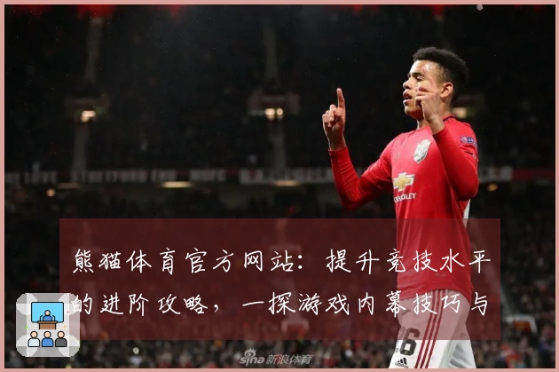 熊猫体育官方网站：提升竞技水平的进阶攻略，一探游戏内幕技巧与玩法优化