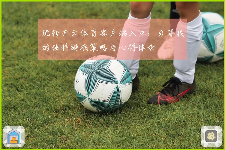 玩转开云体育客户端入口，分享我的独特游戏策略与心得体会